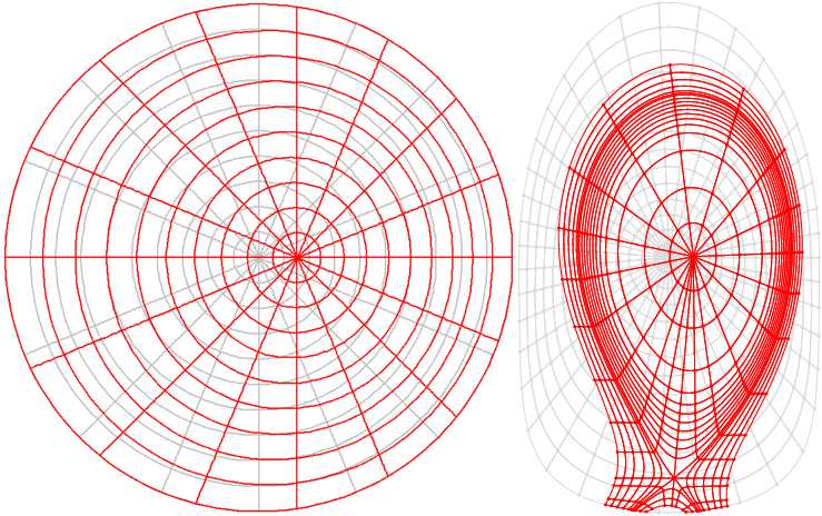 Flux-surface grid Flux surface grid